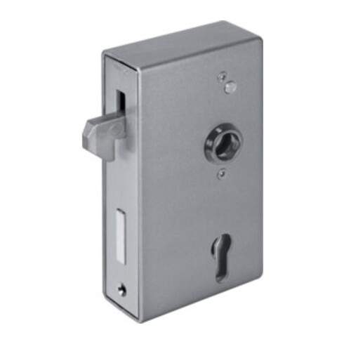 AMF Schiebetor-Schlosskasten 140S-30ZW, B.30mm H.172mm T.94mm, blank