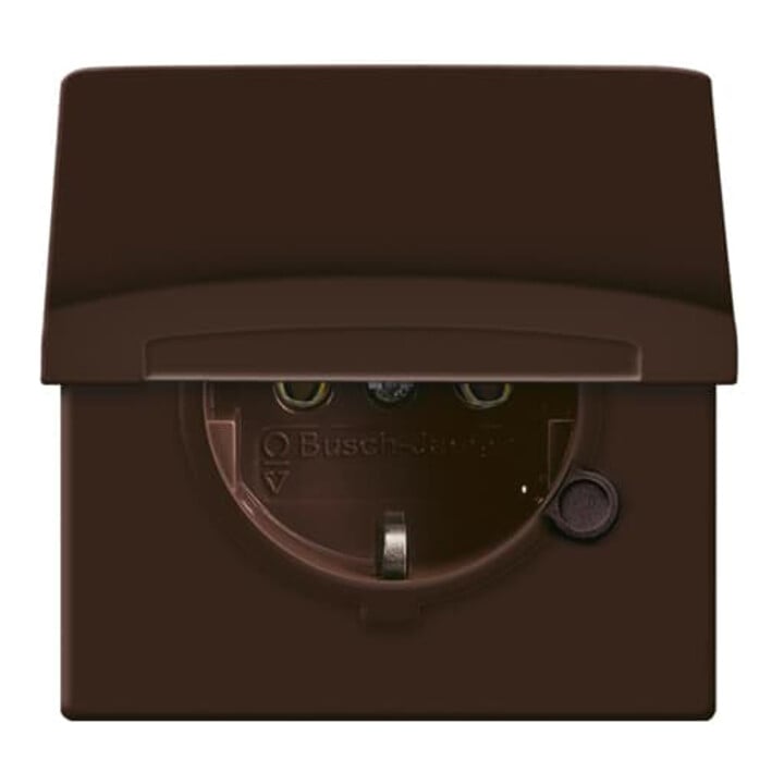 Busch-Jaeger Schuko-Steckdoseneinsatz IP44 braun 20 EUGK-31-101