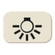 Busch-Jaeger Tastersymbol Licht 2525 LI