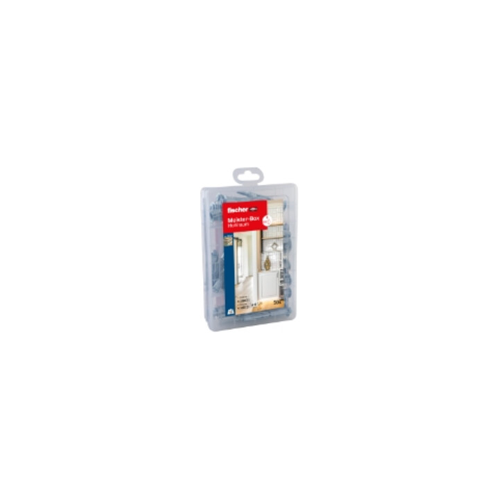 fischer Meister-Box Hohlraum + Schraube (50 Teile)