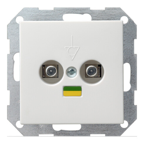 Gira Potentialausgl.-Dose rws-gl 040503