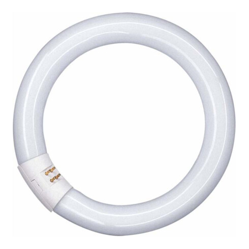 OSRAM LAMPE Leuchtstofflampe G10q ringförmig L 22W/840 C