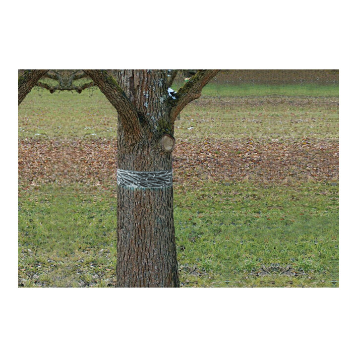 SWISSINNO Raupen-u.Ameisenleimring 5x5cm Natural Control Solution