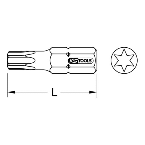 1/4" Embout de vissage Torx, 25 mm, T6