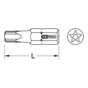 1/4" Embouts 5 pans percé, TS30, pack de 5-3