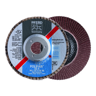 Pferd-Rüggeberg Fächerschleifsch.gew.Kor 125x22mm K120
