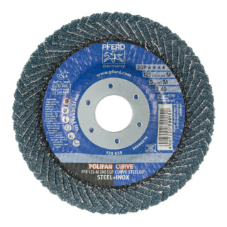 Pferd-Rüggeberg Fächerschleifsch.CURVE M 125mm K 40 gerade