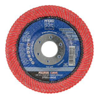 Pferd-Rüggeberg Fächerschleifsch. CURVE M125mm K 60 CO