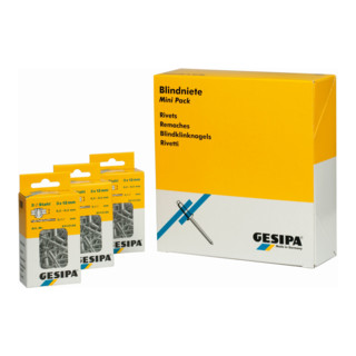 Gesipa Blindniete Mini-Pack Stahl/Stahl 3 x 10
