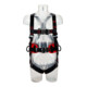 3M FALL PROTECTION Harnais PROTECTA 1161634, Réf. fabricant: M/L-1