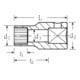 50aPSP Douilles Spline-Drive Spline Gr. 12; 3/8 "
