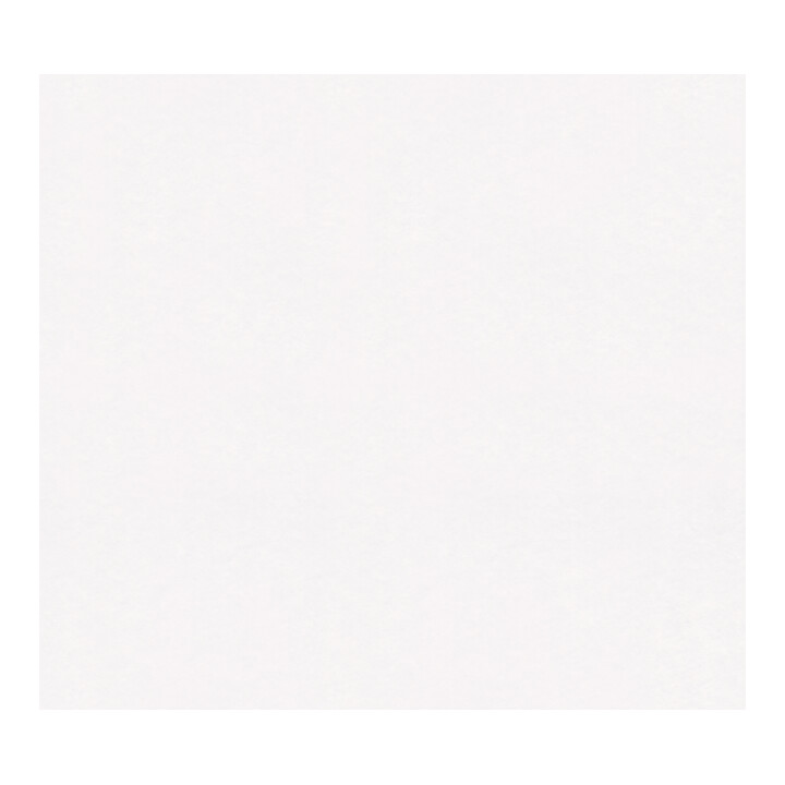 A.S. Création Tapete Maku-Vlies Meistervlies Pure 25 x 0,75 m 130g/m² weiß glatt überstreichbar