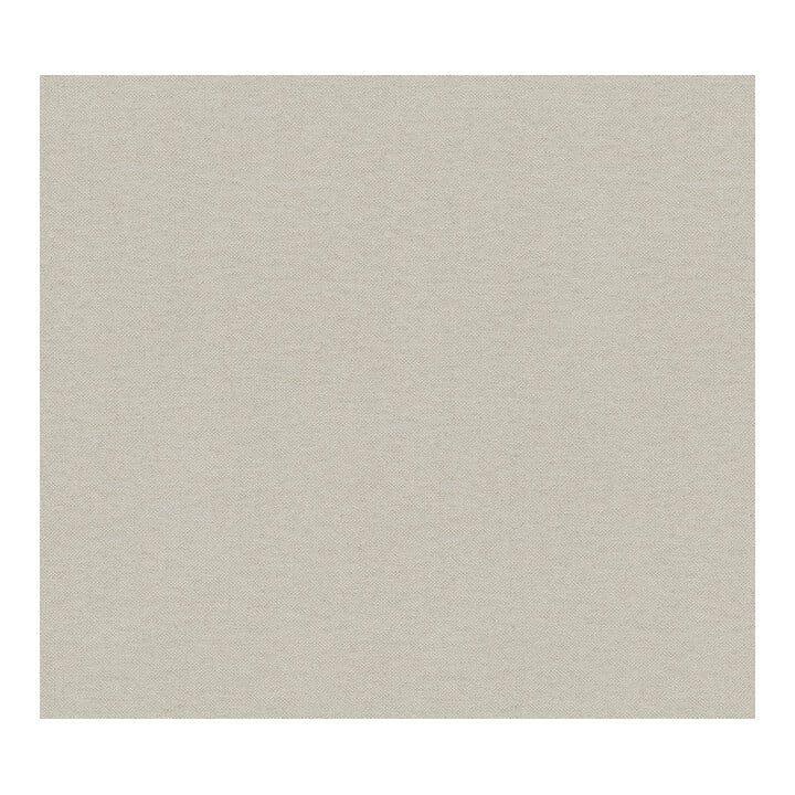 A.S. Création Vliestapete 15m Rolle 15 x 0,53 m Uni Beige Braun leicht strukturiert