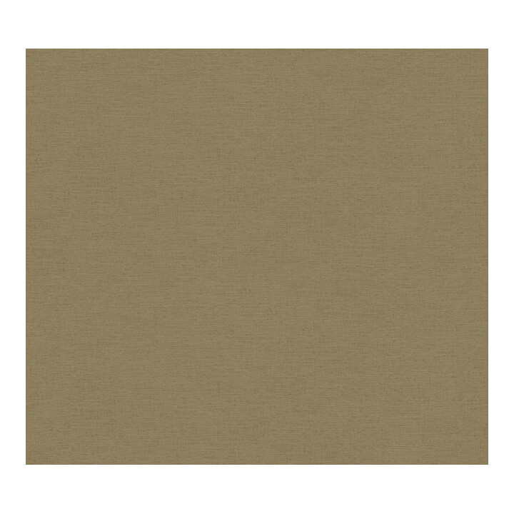A.S. Création Vliestapete Colourful World 10,05 x 0,53 m Braun leicht strukturiert
