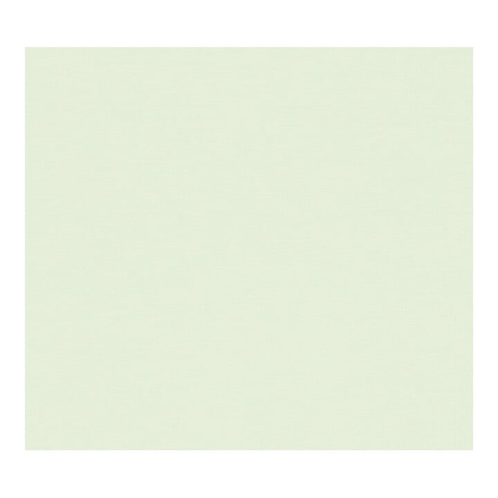 A.S. Création Vliestapete Colourful World 10,05 x 0,53 m Pastellgrün leicht strukturiert