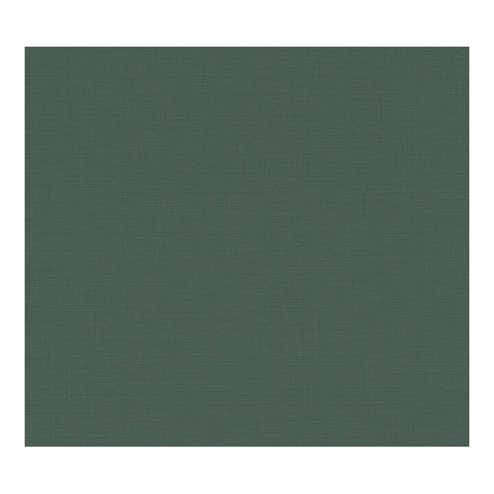 A.S. Création Vliestapete Colourful World 10,05 x 0,53 m Tannengrün leicht strukturiert