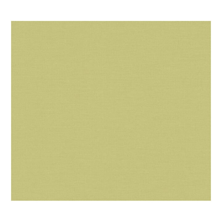 A.S. Création Vliestapete Colourful World 10,05 x 0,53 m Uni Grün leicht strukturiert