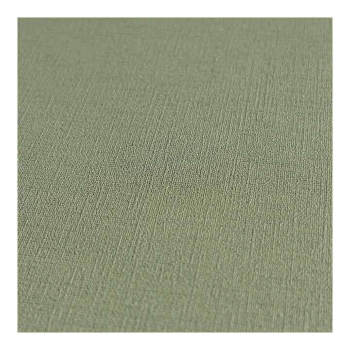 A.S. Création Vliestapete Colourful World 10,05 x 0,53 m Uni Moosgrün leicht strukturiert