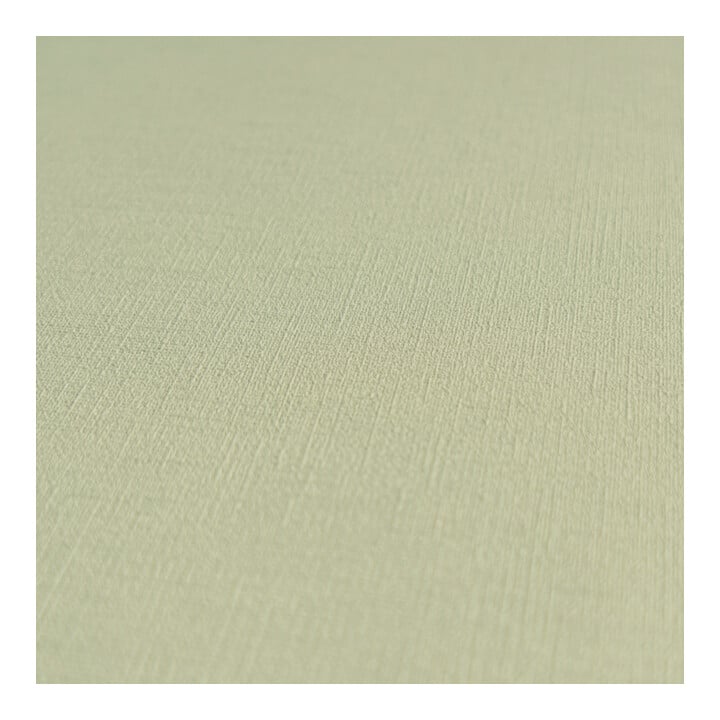 A.S. Création Vliestapete Colourful World 10,05 x 0,53 m Uni Sage leicht strukturiert