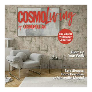 A.S. Création Vliestapete Cosmo Living 10,05 x 0,53 m Beton Braun Grau mit Struktur