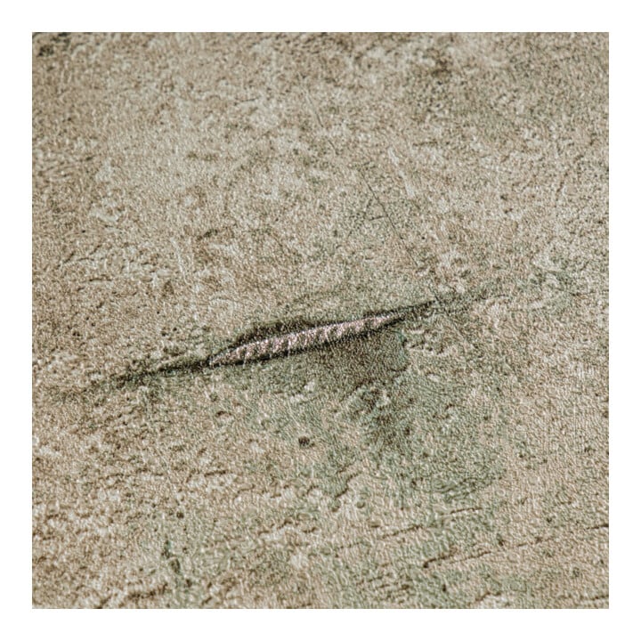A.S. Création Vliestapete Cosmo Living 10,05 x 0,53 m Beton Braun Grau mit Struktur