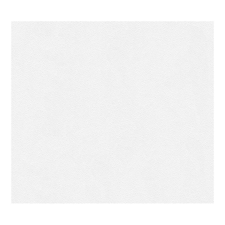 A.S. Création Vliestapete Meistervlies Creativ 10,05 x 0,53 m Elefantenhautoptik überstreichbar
