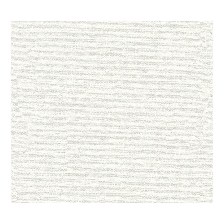 A.S. Création Vliestapete Meistervlies Premium 10,05 x 0,53 m grobe Struktur überstreichbar