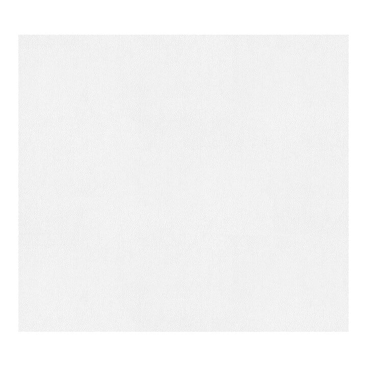 A.S. Création Vliestapete Meistervlies Pro 25 x 1,06 m Elefantenhautoptik überstreichbar