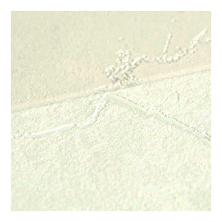 A.S. Création Vliestapete Versace 6 10,05 x 0,70 m Mäander Creme Metallic Struktur