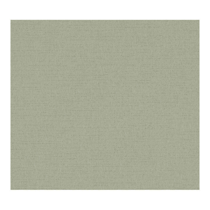 A.S. Création Vliestapete Vibes & Styles 10,05 x 0,53 m Uni Grün leicht strukturiert