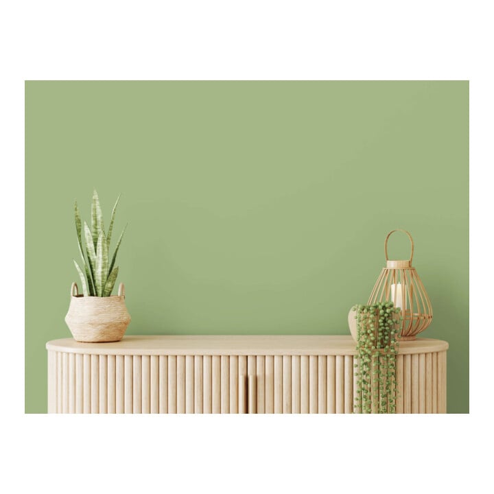 A.S. Création Wandfarbe The Color Kitchen Green Grape Grün Matt 5 l Hohe Deckkraft