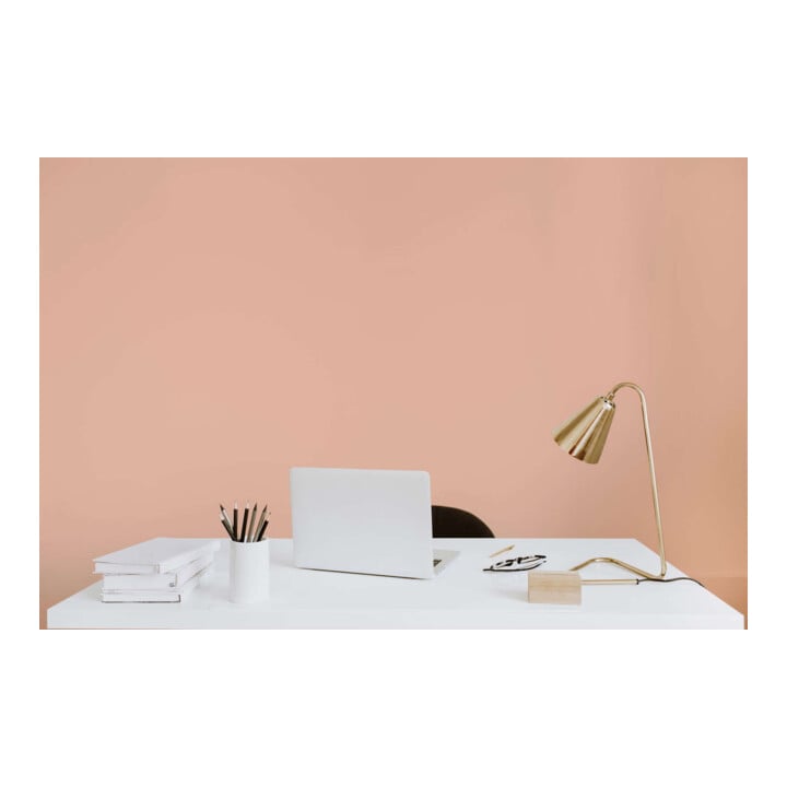 A.S. Création Wandfarbe The Color Kitchen Honeydew Melon Rosa Hohe Deckkraft Matt 2,5 l