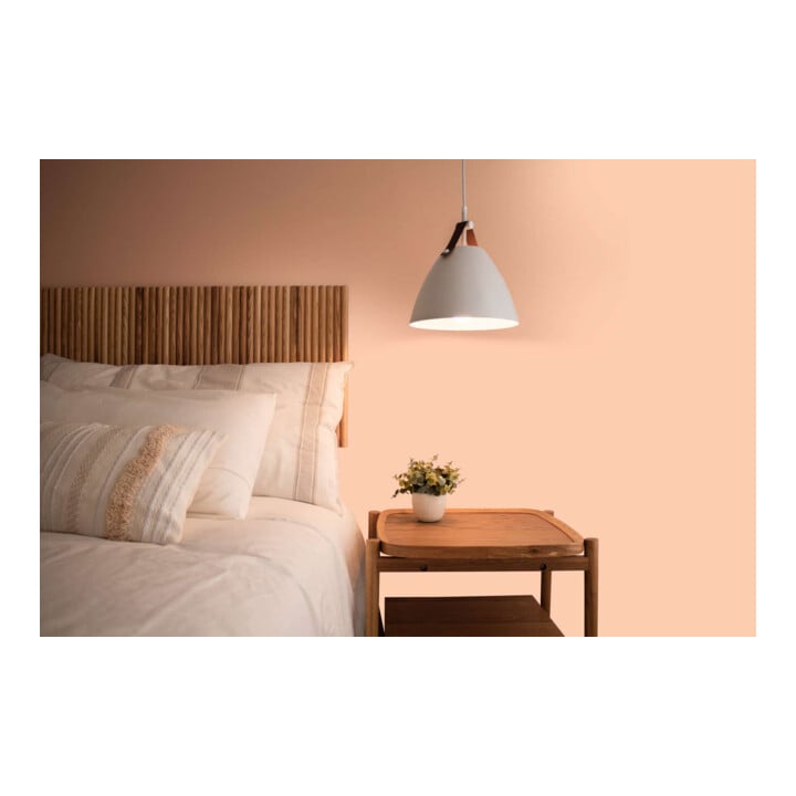 A.S. Création Wandfarbe The Color Kitchen Honeydew Melon Rosa Hohe Deckkraft Matt 2,5 l