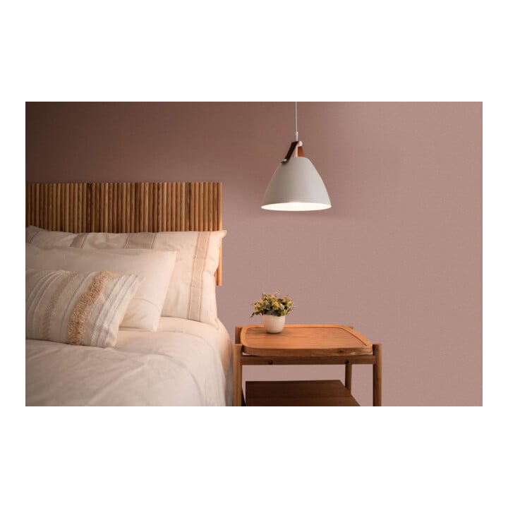 A.S. Création Wandfarbe The Color Kitchen Jellied Jostaberry Braun 2,5 l matt hohe Deckkraft