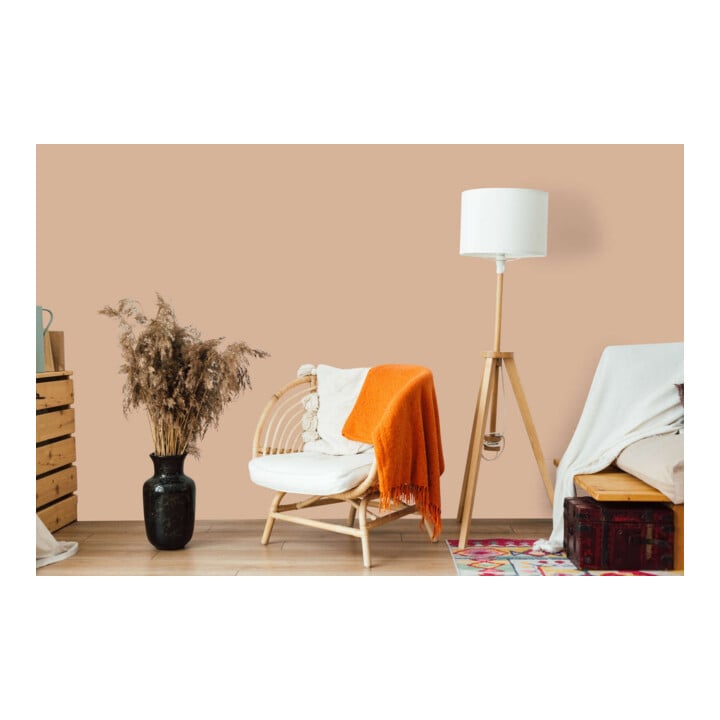 A.S. Création Wandfarbe The Color Kitchen Lovely Lentil Orange Matt 5,00 l Hohe Deckkraft