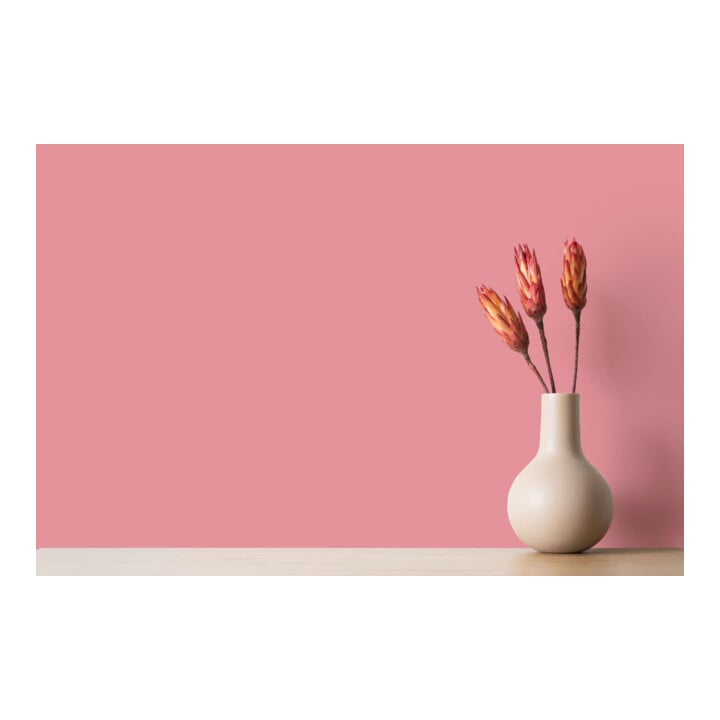 A.S. Création Wandfarbe The Color Kitchen Masterfully Macaron Pink 5,00 l matt hohe Deckkraft