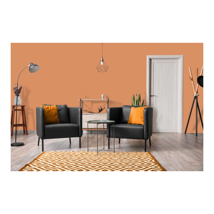 A.S. Création Wandfarbe The Color Kitchen Pretty Pumpkin Orange Matt 2,5 l Hohe Deckkraft