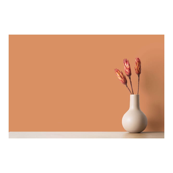 A.S. Création Wandfarbe The Color Kitchen Pretty Pumpkin Orange Matt 2,5 l Hohe Deckkraft