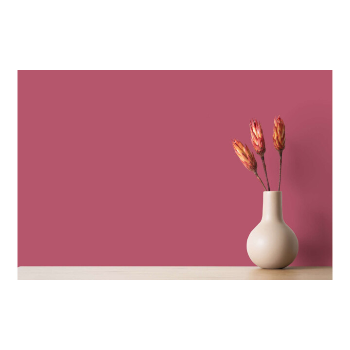 A.S. Création Wandfarbe The Color Kitchen Rosy Raspberry Pink Matt 5,00 l Hohe Deckkraft