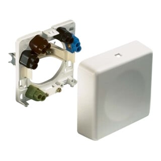 ABL GmbH Geräte-Anschlußdose ws UP 2505210