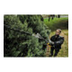 Accessoire taille-haies Dewalt pour DCMAS5713-3