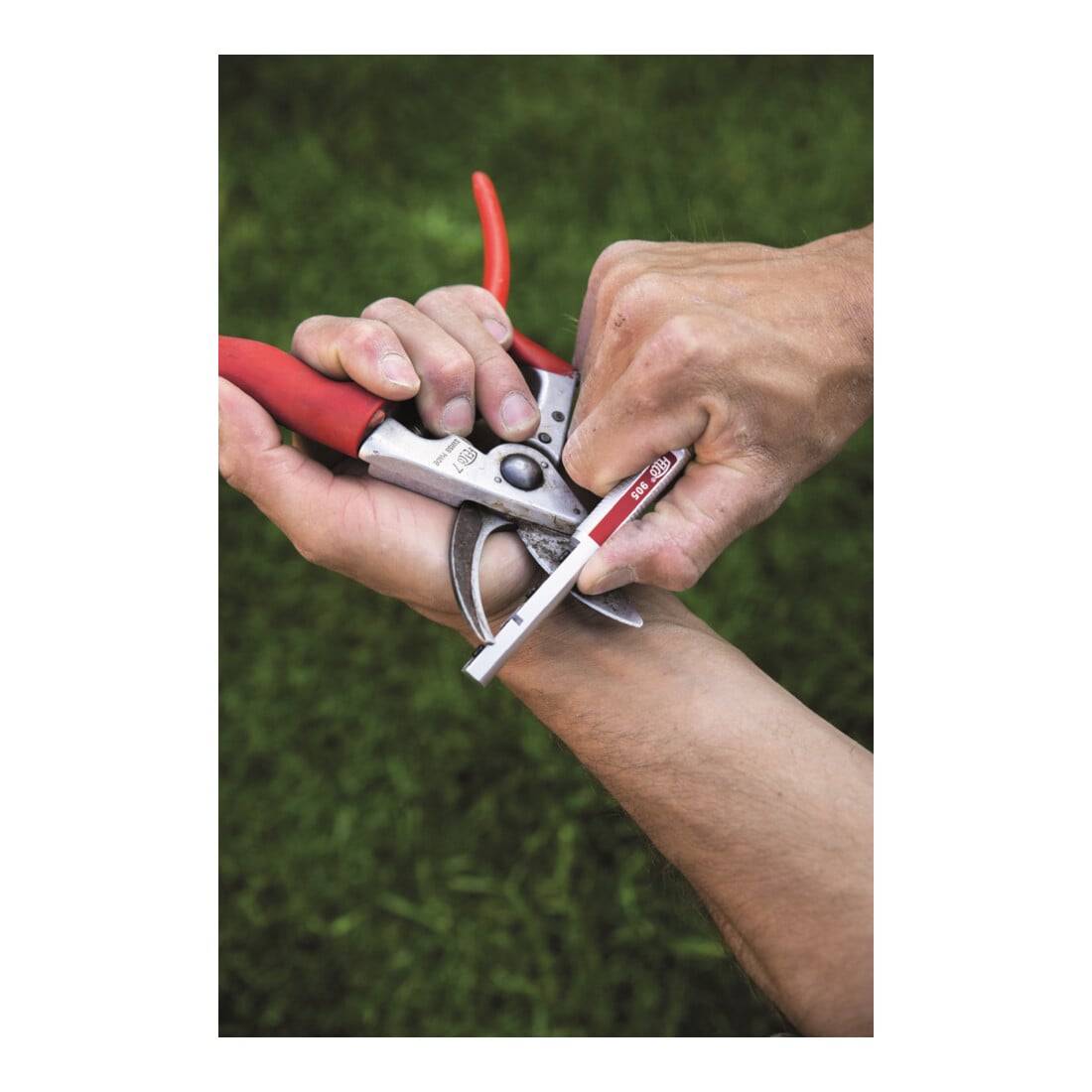 Action spéciale Felco 8 + Felco 905