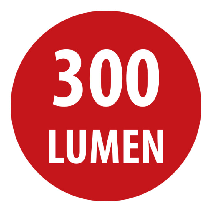 Akku LED Handleuchte HL 300 AD 300lm, mit Dynamo, Haken, Magnet