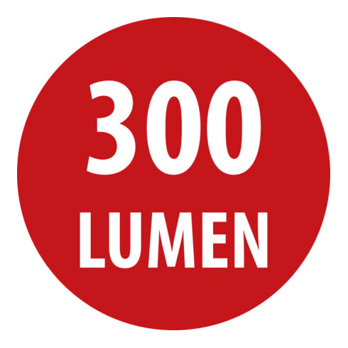 Akku LED Handleuchte HL 300 AD 300lm, mit Dynamo, Haken, Magnet