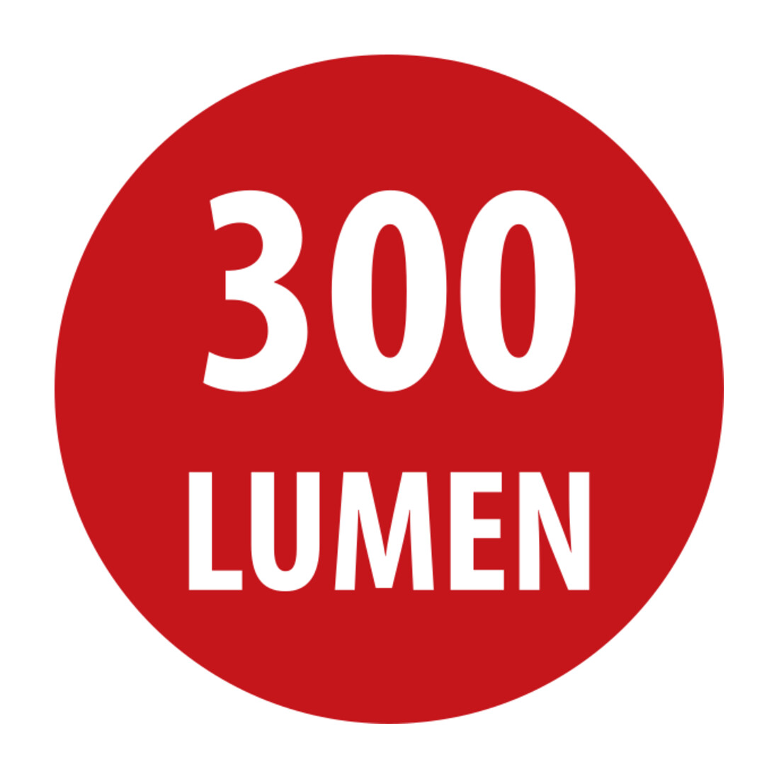 Akku LED Handleuchte HL 300 AD 300lm, mit Dynamo, Haken, Magnet