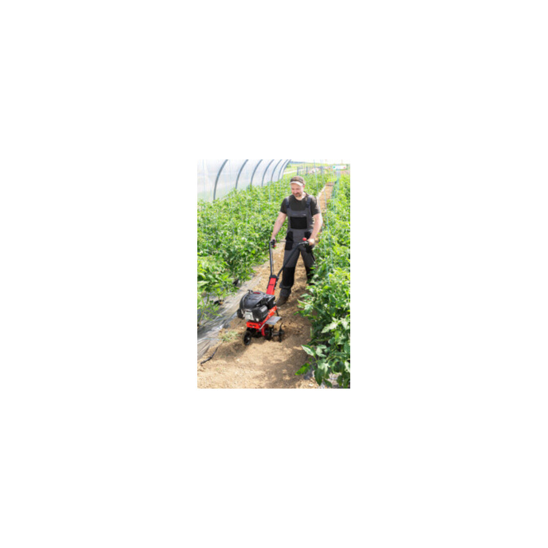AL-KO Benzin-Motorhacke MH 360 EASY 2,2 kW / 139 ccm / 36 cm