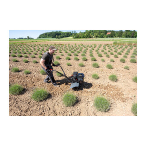 AL-KO Benzin-Motorhacke MH 540 COMFORT 3,45 kW / 196 ccm / 54 cm