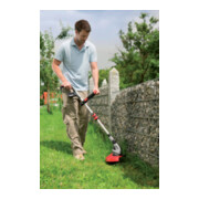 AL-KO Elektro-Trimmer GTE 550 Premium-4
