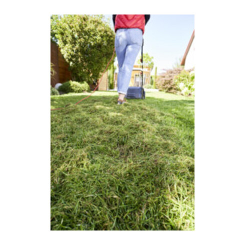 AL-KO Elektro-Vertikutierer Basic Care 32.4 Easy