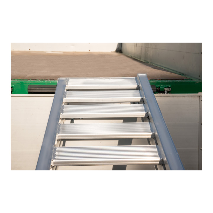 Altec Sprossenschiene AVS 150 mit Rand